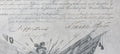 Franklin Pierce & Jefferson Davis Signed 15x18 1856 Military Appointment BAS LOA
