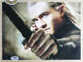 LOTR (5) Wood, Astin, Mortensen, Rhys-Davies & Bloom Signed Framed Display BAS