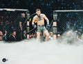 UFC Conor McGregor Authentic Signed 11x14 Framed Photo Autographed BAS #BJ071839