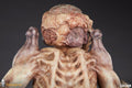 PCS Collectibles Pumpkinhead 1:4 Scale Statue