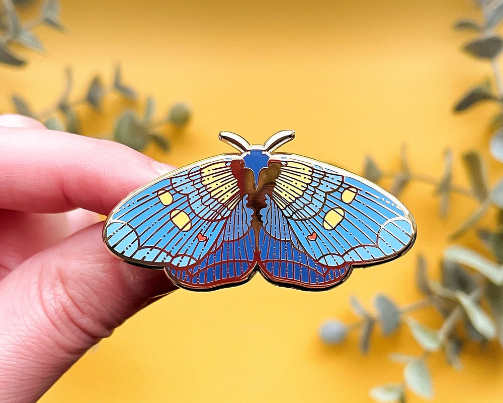 Pin - African Peach Moth
