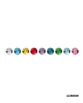 Pokémon TCG Simplified Chinese Terastal Gathering Eevee Coin Set