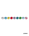 Pokémon TCG Simplified Chinese Terastal Gathering Jolteon Coin Set