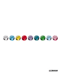 Pokémon TCG Simplified Chinese Terastal Gathering Leafeon Coin Set