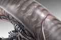 PRE-ORDER: Hollywood Collectibles Group Aliens Xenomorph Life-Size Bust