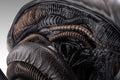 PRE-ORDER: Hollywood Collectibles Group Aliens Xenomorph Life-Size Bust
