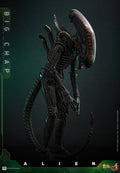 PRE-ORDER: Hot Toys Alien Big Chap Sixth Scale Figure