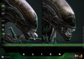 PRE-ORDER: Hot Toys Alien Big Chap Sixth Scale Figure