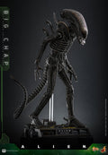 PRE-ORDER: Hot Toys Alien Big Chap Sixth Scale Figure