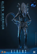 PRE-ORDER: Hot Toys Aliens: Alien Warrior Sixth Scale Figure