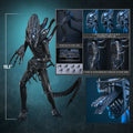 PRE-ORDER: Hot Toys Aliens: Alien Warrior Sixth Scale Figure