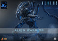 PRE-ORDER: Hot Toys Aliens: Alien Warrior Sixth Scale Figure