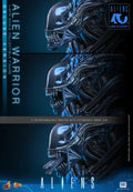 PRE-ORDER: Hot Toys Aliens: Alien Warrior(Deluxe Version) Sixth Scale Figure