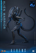 PRE-ORDER: Hot Toys Aliens: Alien Warrior(Deluxe Version) Sixth Scale Figure