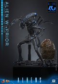 PRE-ORDER: Hot Toys Aliens: Alien Warrior(Deluxe Version) Sixth Scale Figure