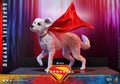 PRE-ORDER: Hot Toys DC Studios Supergirl: Supergirl & Krypto Sixth Scale Figure