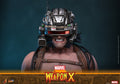 PRE-ORDER: Hot Toys Marvel Comics Weapon X Sixth Scale Figure