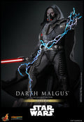 PRE-ORDER: Hot Toys Star Wars Legends Darth Malgus Sixth Scale Figure
