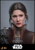 PRE-ORDER: Hot Toys Star Wars: Return of the Jedi Leia Organa (Boushh Disguise) Sixth Scale Figure