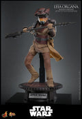 PRE-ORDER: Hot Toys Star Wars: Return of the Jedi Leia Organa (Boushh Disguise) Sixth Scale Figure