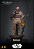 PRE-ORDER: Hot Toys Star Wars: Return of the Jedi Leia Organa (Boushh Disguise) Sixth Scale Figure
