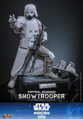 PRE-ORDER: Hot Toys Star Wars: The Mandalorian & Grogu Imperial Remnant Snowtrooper Sixth Scale Figure
