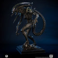 PRE-ORDER: PCS Collectibles Alien vs. Predator: Grid Alien 1/2 Scale Statue