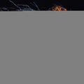 PRE-ORDER: PCS Collectibles The Fly 1/4 Scale Statue