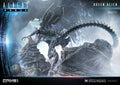 Prime 1 Premium Masterline Aliens (Comics) Queen Alien "Battle Diorama" Statue