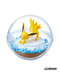 Re-Ment Pokémon Terrarium Collection 13 Blind Box