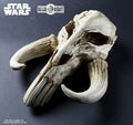 Regal Robot Star Wars Mythosaur Skull 17.5″ Wall Decor