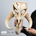 Regal Robot Star Wars Mythosaur Skull 17.5″ Wall Decor
