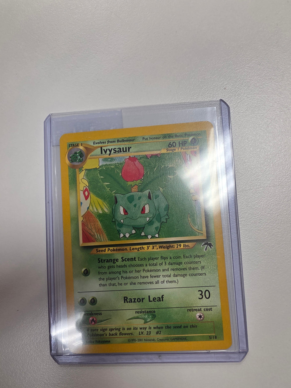 Pokemon Ivysaur 5/18