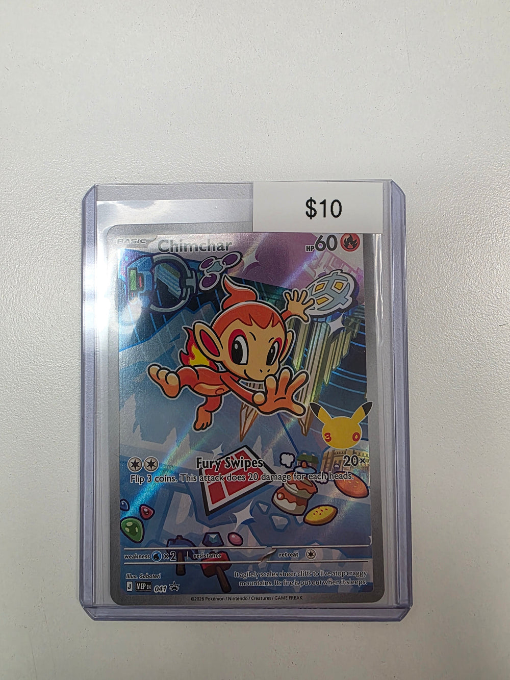Pokemon Chimchar 041