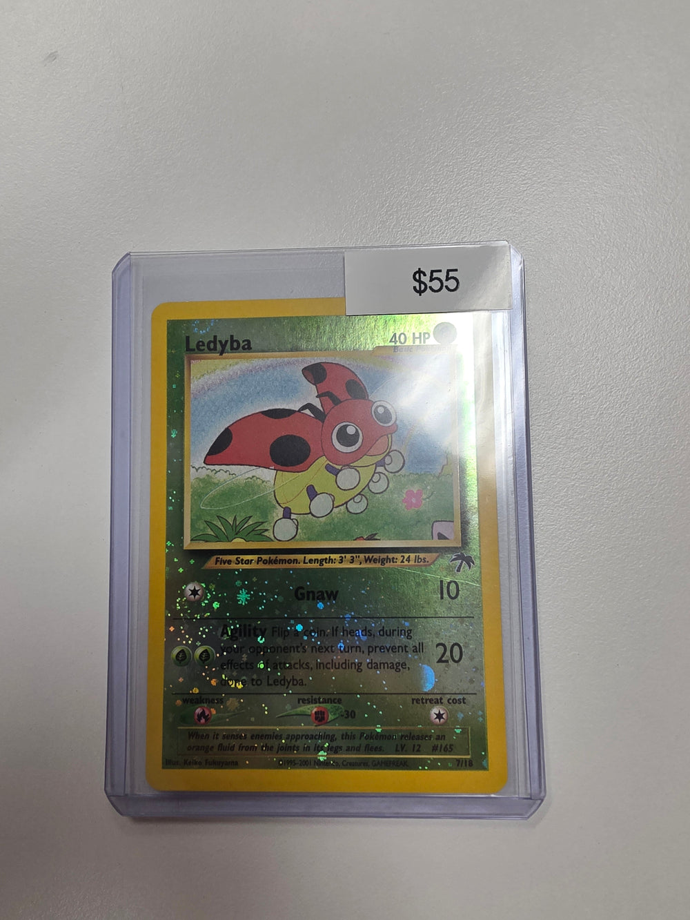 Pokemon Ledyba 7/18