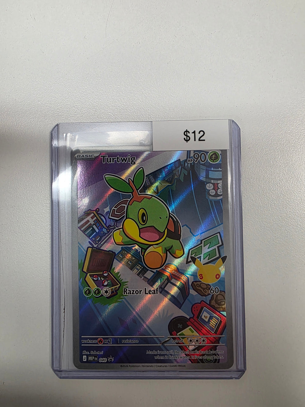 Pokemon Turtwig 040