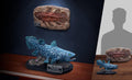 Star Ace Toys Coelacanth (Deluxe Version) Statue