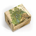 Ultimate Guard: Sidewinder 100+ Xenoskin - Magic The Gathering - Avatar: The Last Airbender - The Lion Turtle