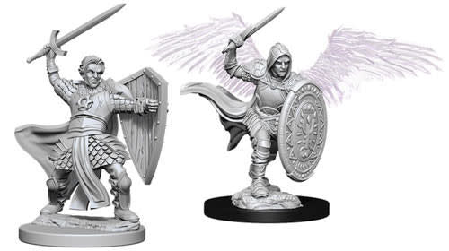 Aasimar Male Paladin