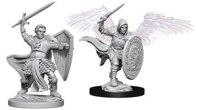 Aasimar Male Paladin